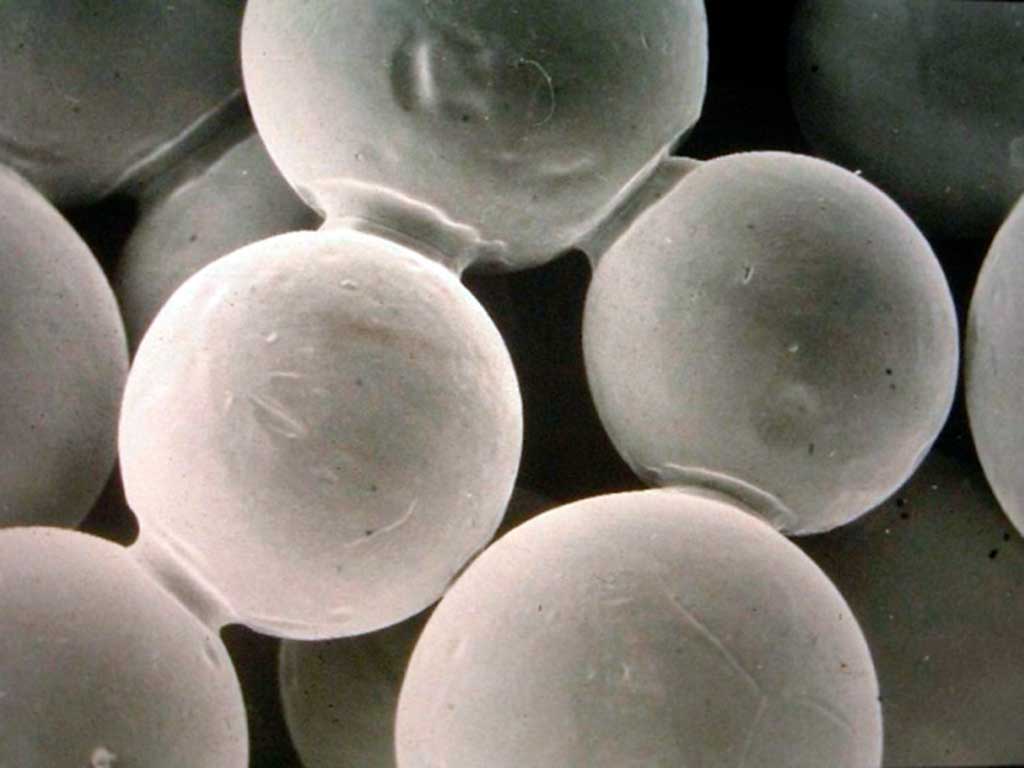 Imagen microscópica de unión de cuellos en recubrimiento poroso mediante esferas sinterizadas